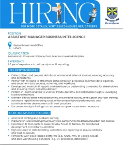 Assistant Manager Business Intelligence