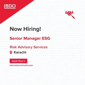 Senior Manager in ESG Risk Advisory at IBDO in 2024