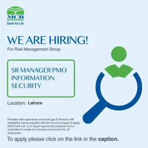 Senior Manager PMO in Information Security 2025