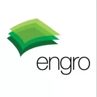 Plant Financial Controller Engro Group Daharki