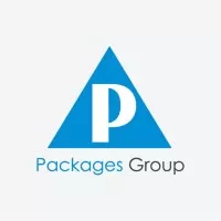 Manager Electrical & Instruments - Paper Machines Packages Group Kasur