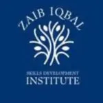 Zaib Iqbal Skills Development Institute (ZISDI)